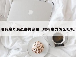 唯有魔力怎么寄售宠物（唯有魔力怎么挂机）